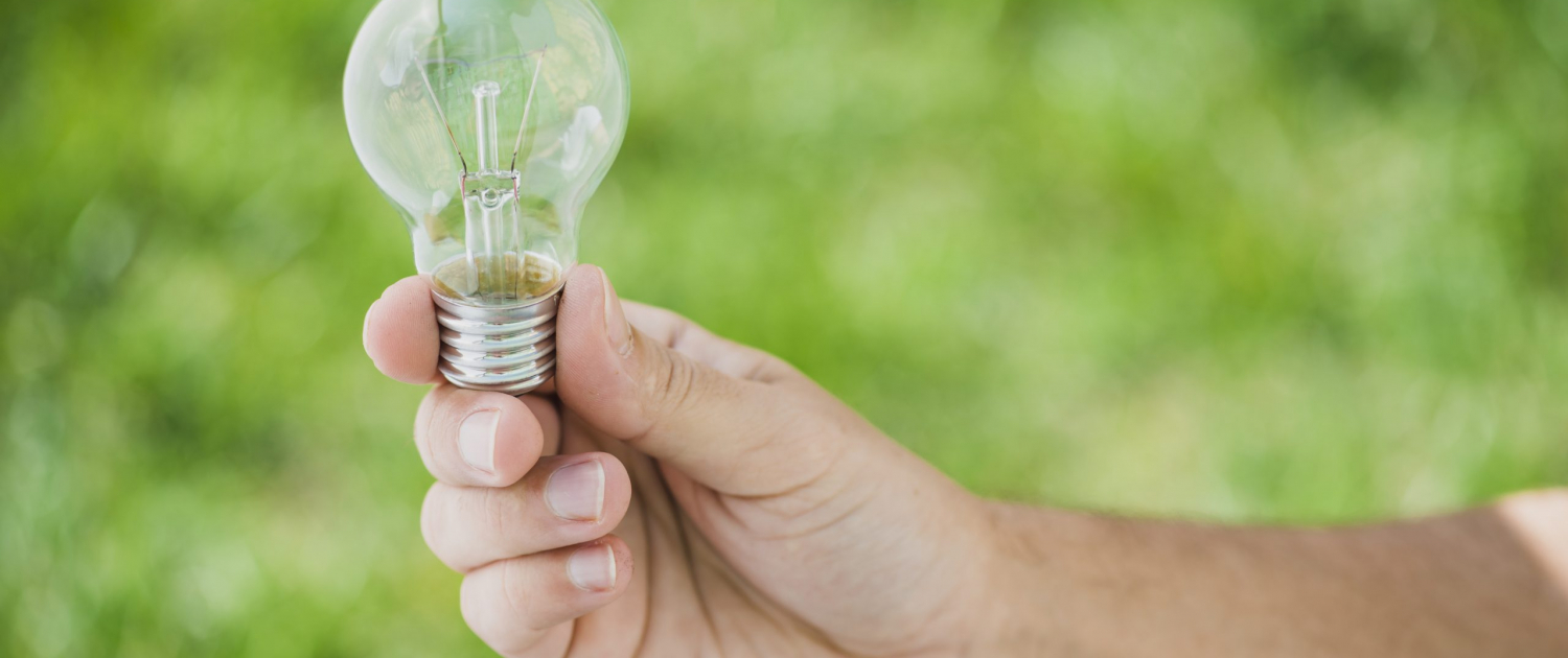 human hand holding transparent light bulb against green backdrop scaled 1 2